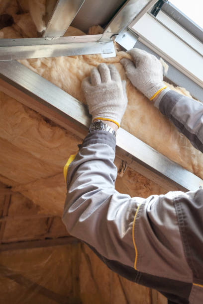 Best Geographic-Specific Insulation Services in Central Garage, VA