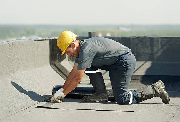 Best Cellulose Insulation in Central Garage, VA