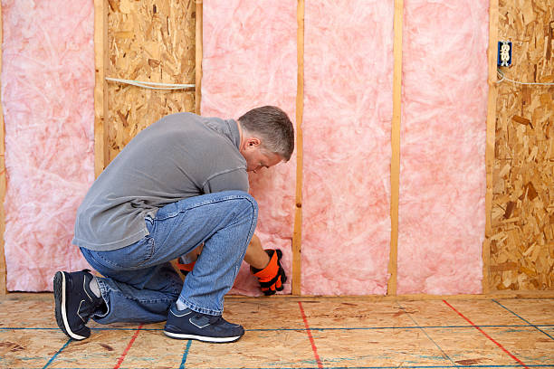 Best Cellulose Insulation in Central Garage, VA